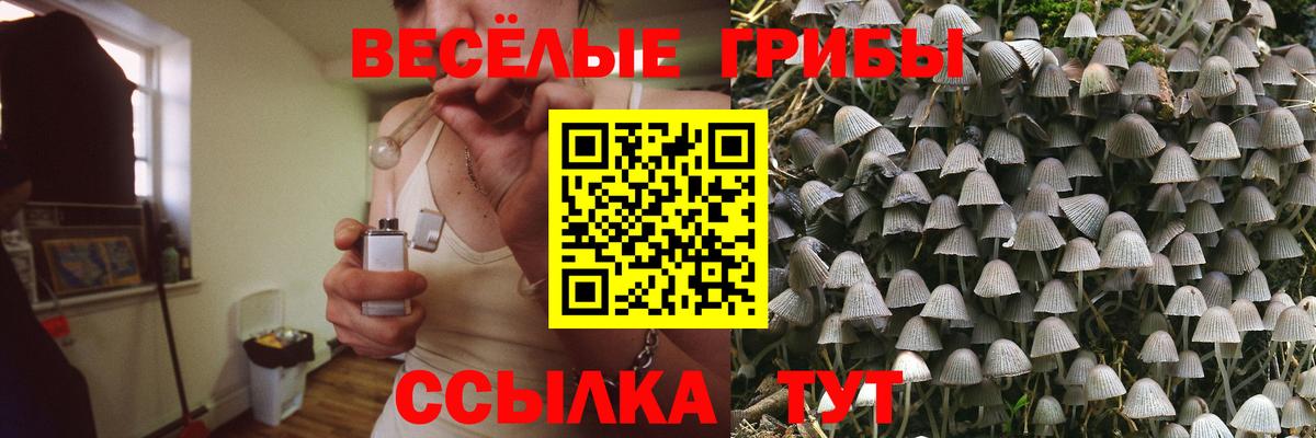 Псилоцибиновые грибы ЛСД  Вход с VPN  Ульяновск 