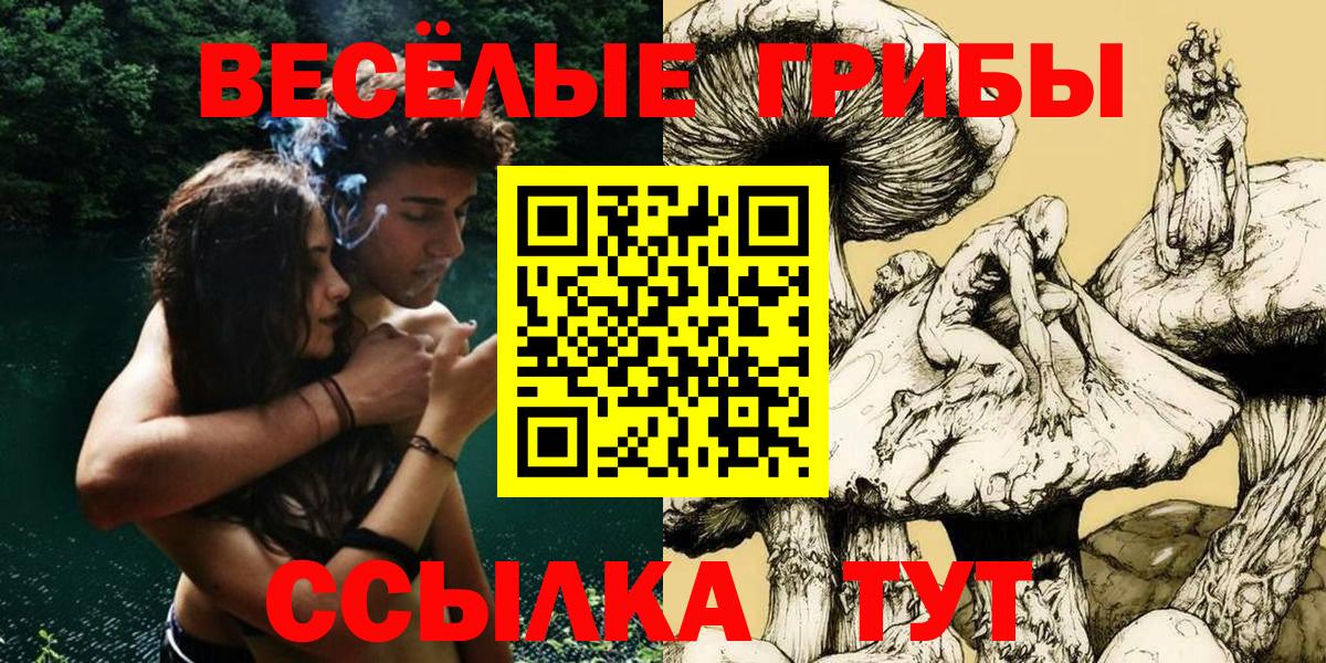 Псилоцибиновые грибы Psilocybine cubensis Ульяновск